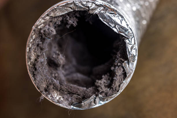 Best Air Duct Cleaning Near Me  in Platte City, MO